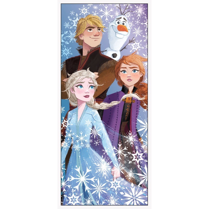 Disney frozen door poster 2.25ft X 5ft-4.99 Disney frozen door poster - Image 1