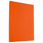 Poster board 22"x28" - Image 2